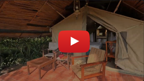 Luxury Safaris in Kenya and Tanzania