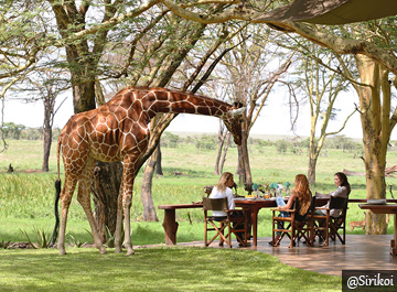 Luxury Safaris in Kenya