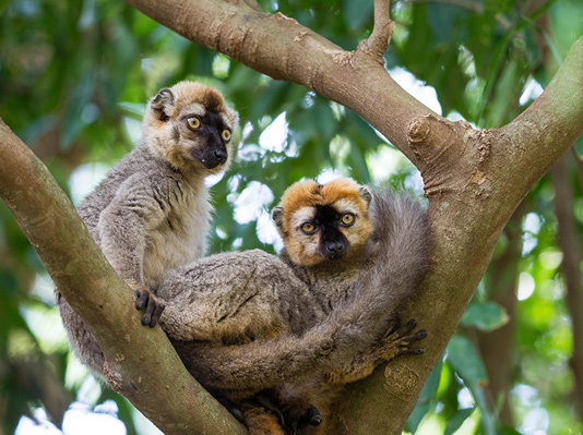 Madagascar Lxuury Holidays