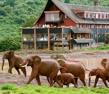 Luxury Kenya Safari - Luxury Safaris