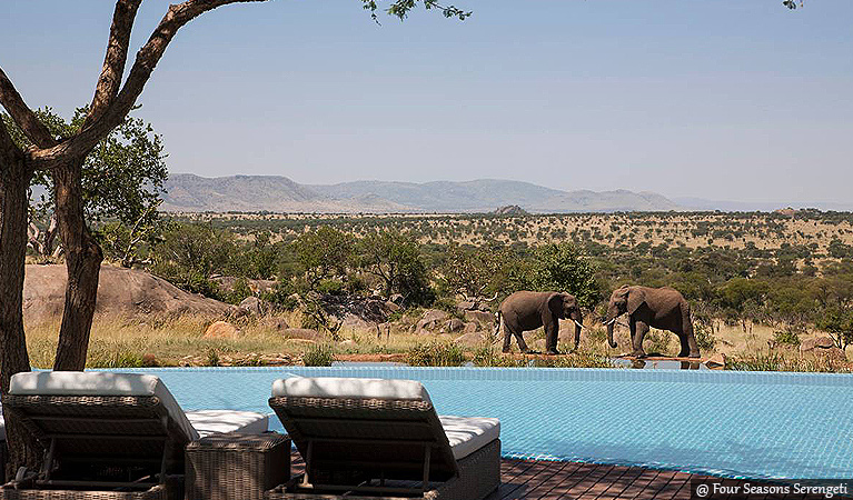 Tanzania VIP Safari