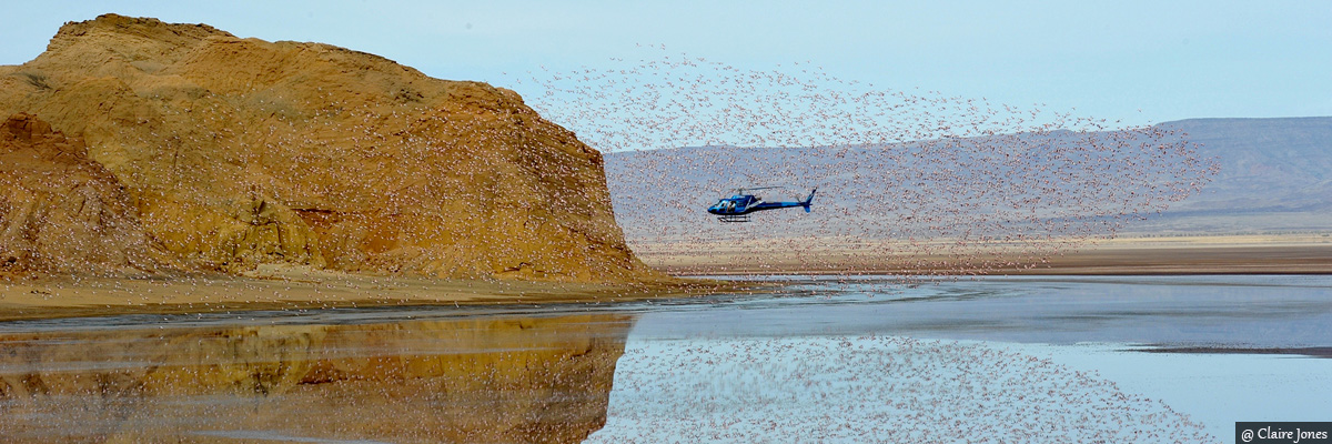 Helicopter Safaris - Luxury Kenya and Tanzania Safari