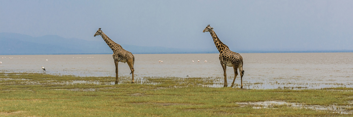 Lake Manyara National Park