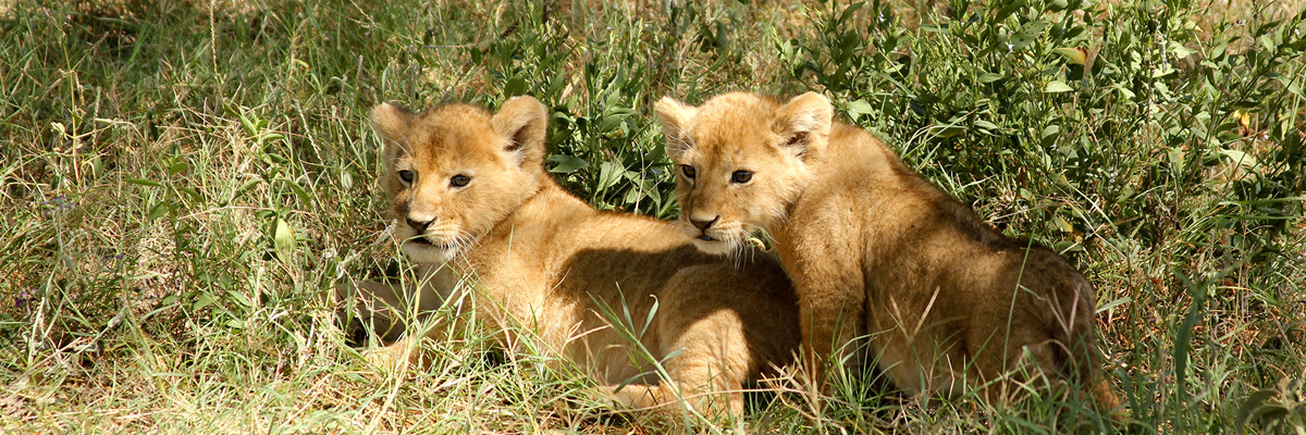 Lake Manyara National Park