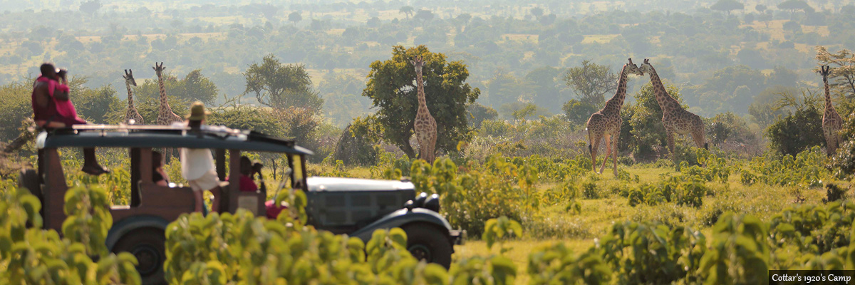 Maasai Mara - Luxury Safaris in Kenya and Tanzania