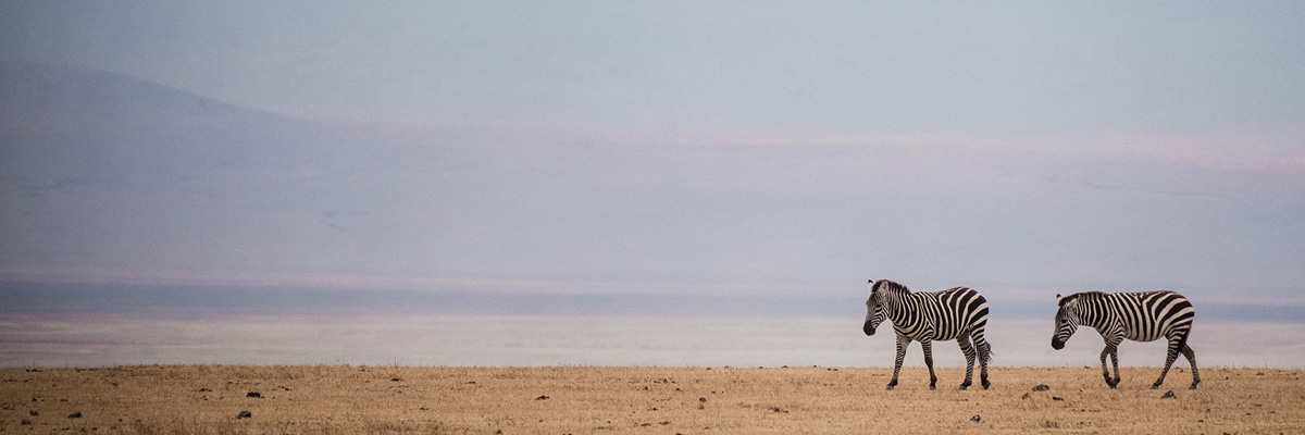 Ngorongoro Crater