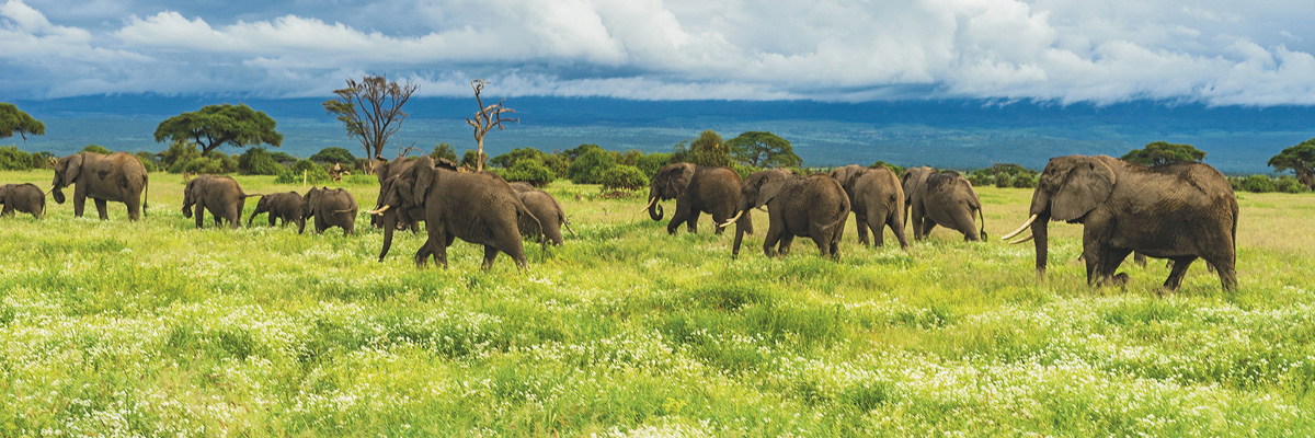 Selous Game Reserve - Luxury Safaris in Kenya and Tanzania