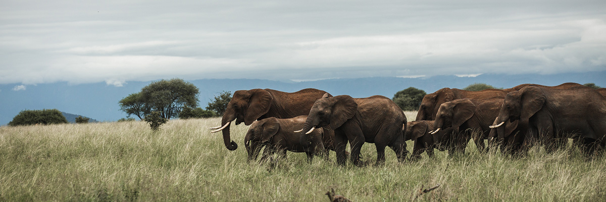 Serengeti National Park