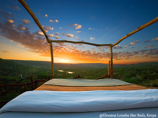 Lewa Conservancy - Luxury Safaris