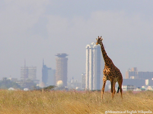 Nairobi National Park