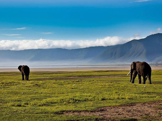 Ngorongoro Crater Lodge