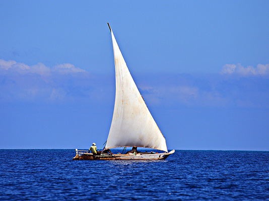 Zanzibar Safari Blue Tour